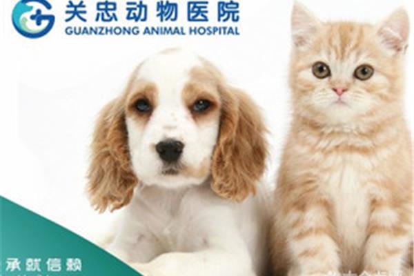 北京宠物医院排名