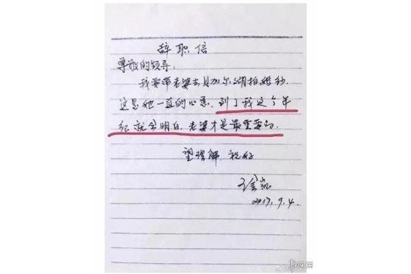 辞职的理由