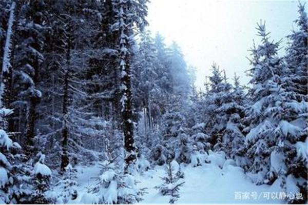 雪景散文