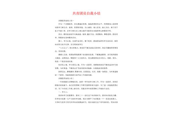 团员小结
