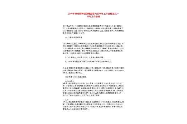 劳动保障总结