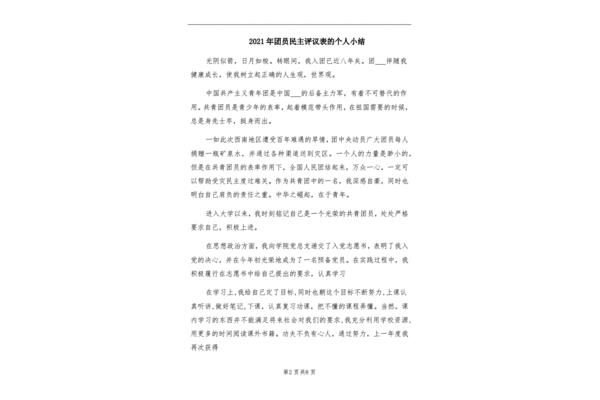 团员小结