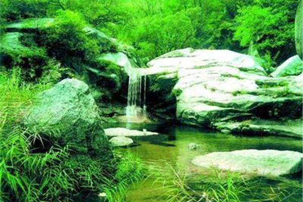 泉水的资料