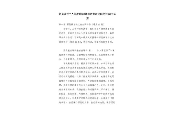 团员小结