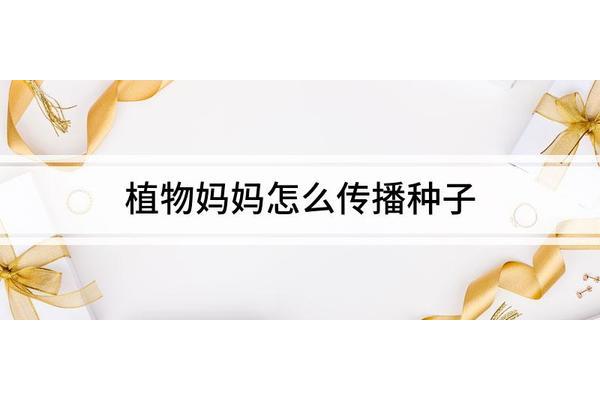 柳树妈妈传播种子仿写