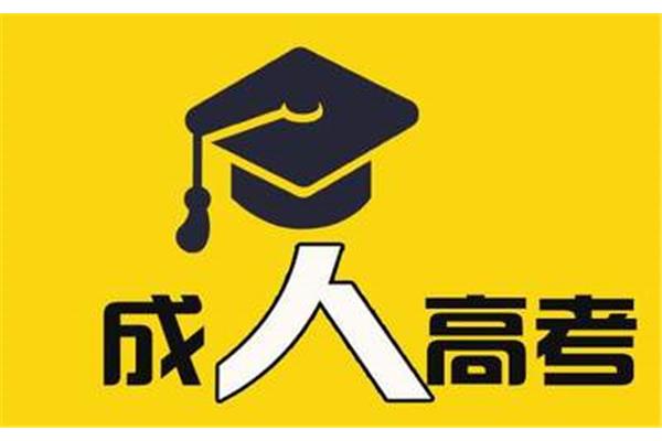 本科报考