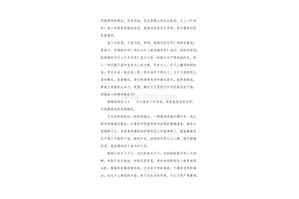 腊梅花的作文