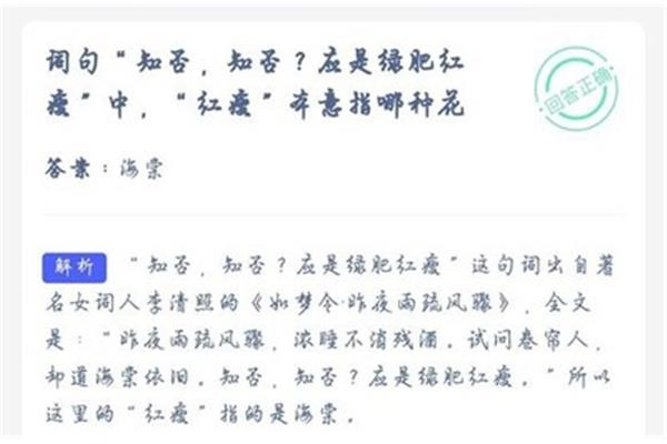 知否知否蚂蚁庄园