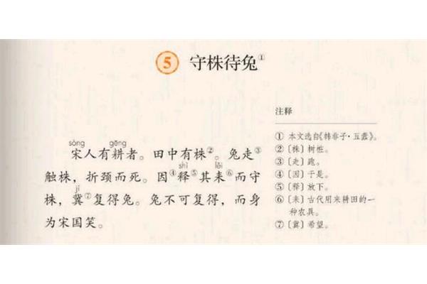 株的拼音和组词