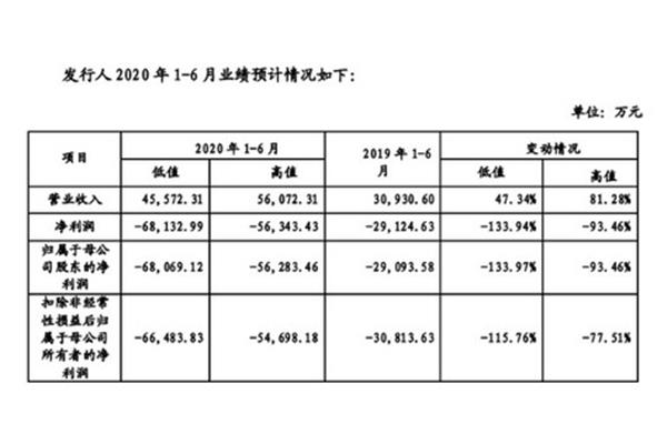亏损情况说明
