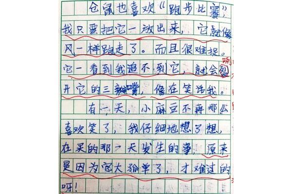 三年级观察作文