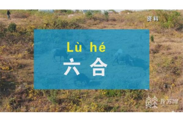 隋怎么读音
