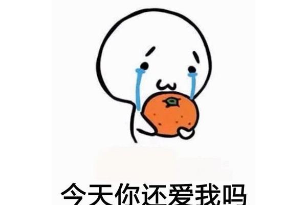 你还爱我妈