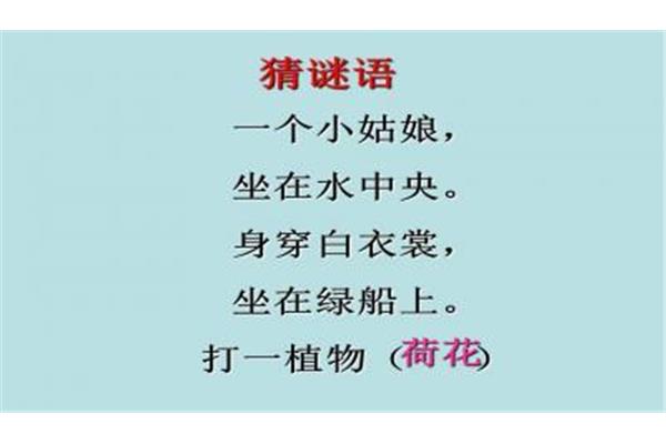 关于白色的词语