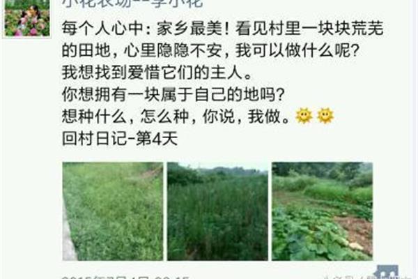 土地的地怎么写