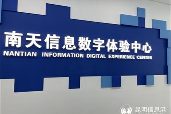 云南南天电子信息