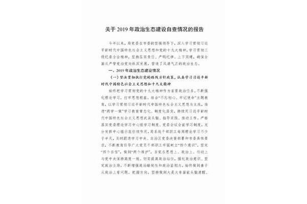 政治生态自查报告
