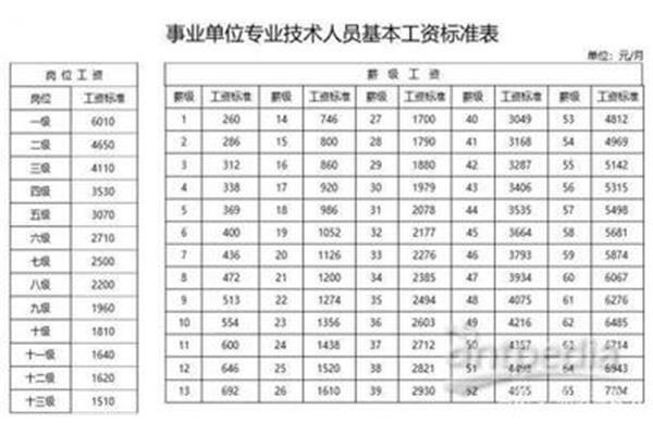 工资高的专业