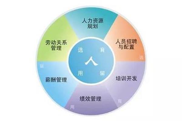 人事6大模块