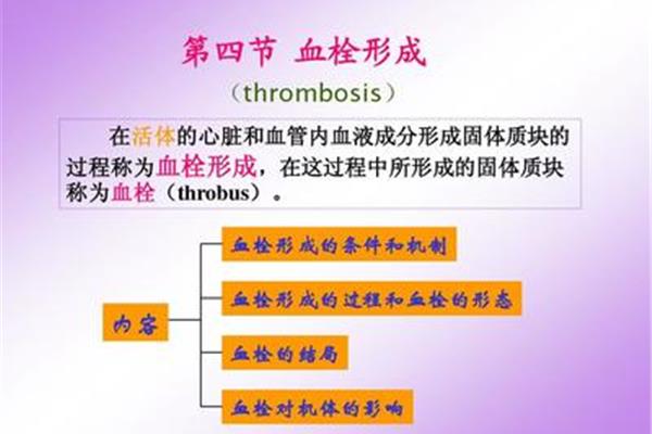 血栓的结局