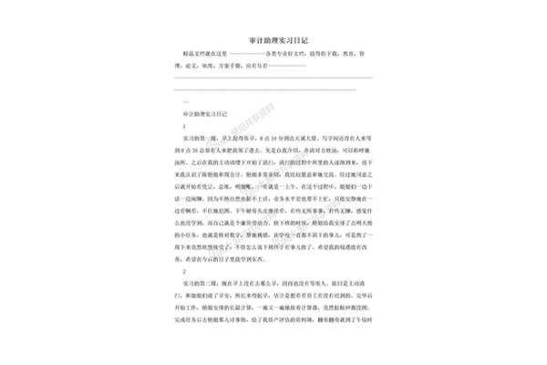 审计实习日记