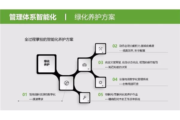 景区运营管理方案