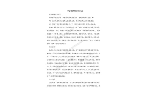 审计实习日记