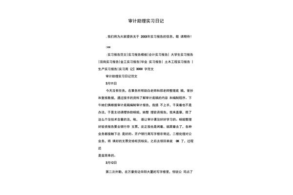 审计实习日记