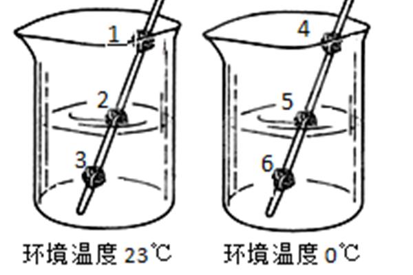 种子萌发实验