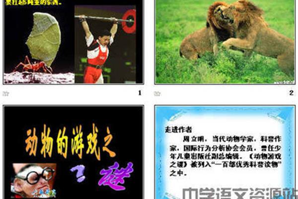 动物游戏之谜原文