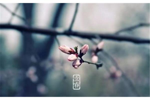 立春的诗句古诗