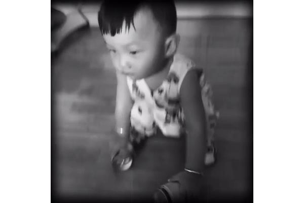 含家字的诗句