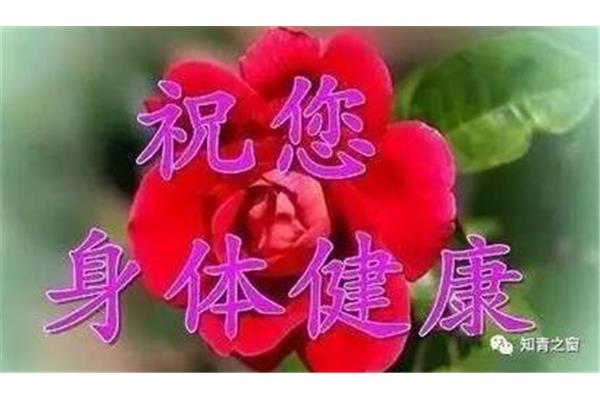 祝您身体健康