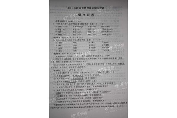 陕西中考作文