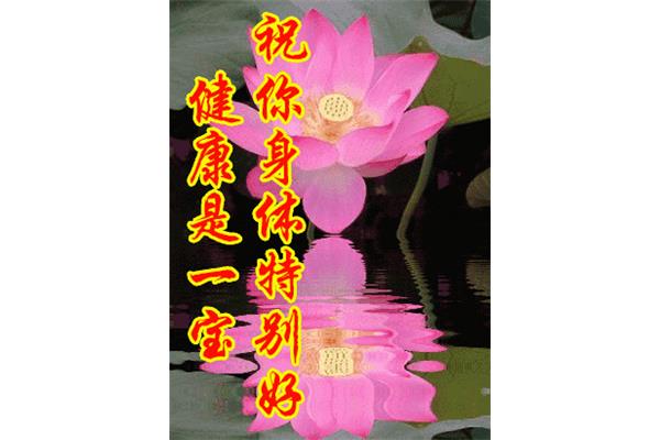 祝您身体健康