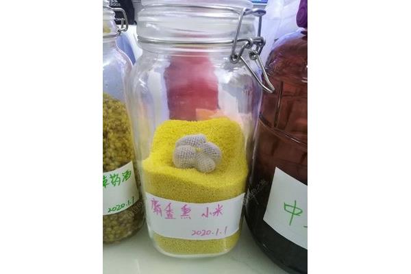 袋装中药怎么加热