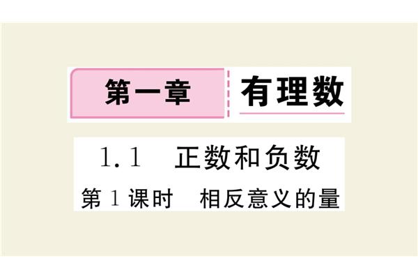 相反意义的量