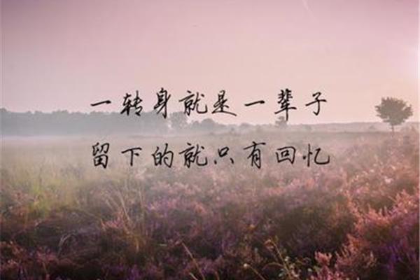 伤感人生感悟