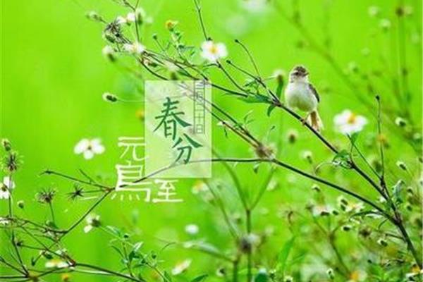 春分是什么时候