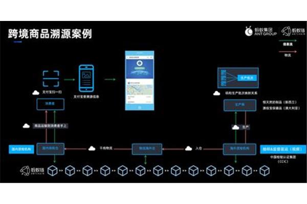 溯源是什么意思