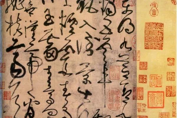 知识渊博什么意思