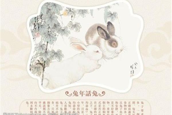 兔有关的成语