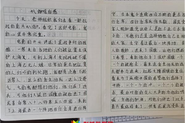 爱国观后感