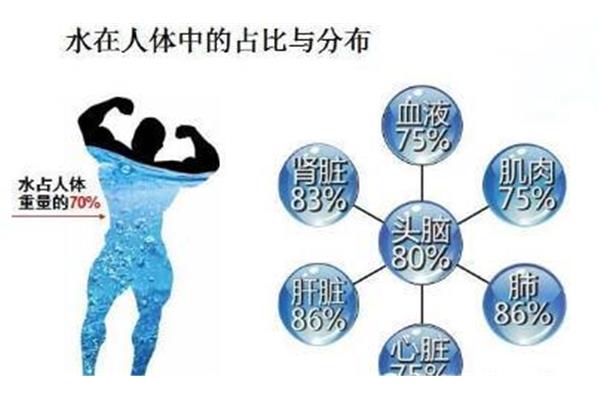 你的水也太多了