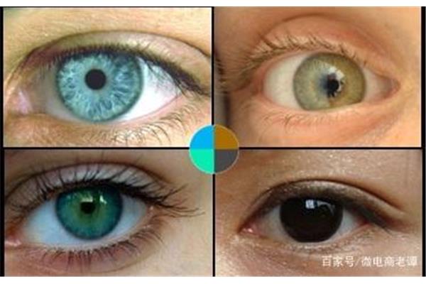 什么颜色对眼睛好