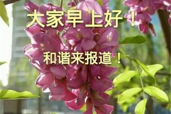 最新版早上好