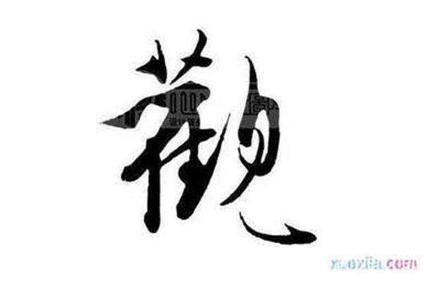 观开头的成语