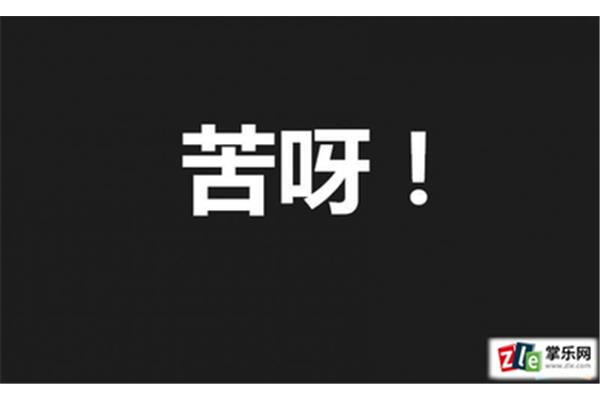 思开头的成语