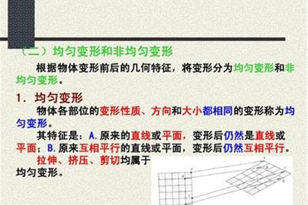 直线的特征