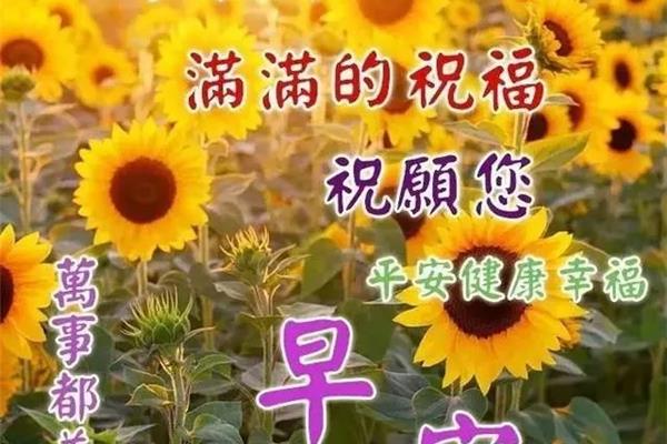 最新版早上好